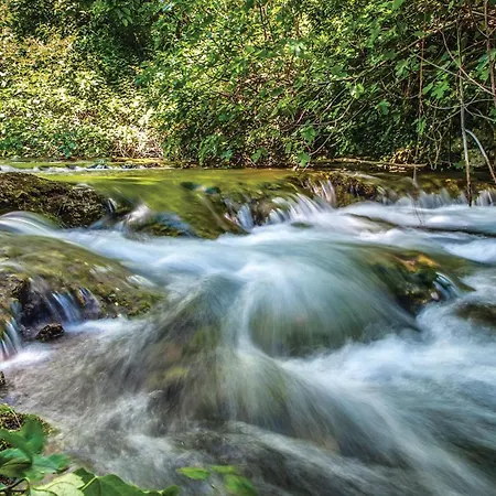 Lovely In Casa vacanze